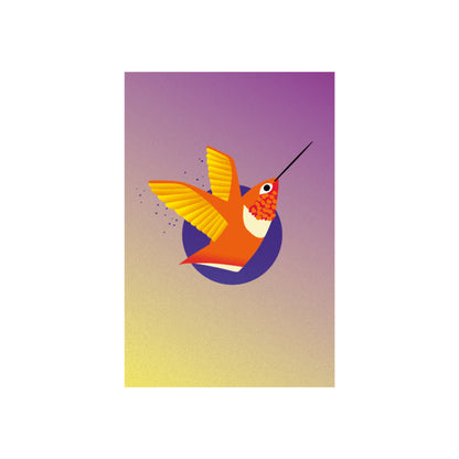 "Allen’s Hummingbird" Print | Digital Illustration