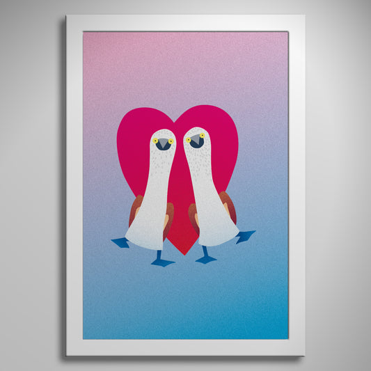 "Pair of Blue-footed Boobies" Print