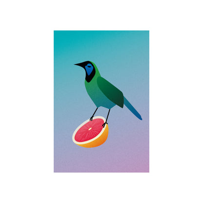 "Green Jay" Print | Digital Illustration