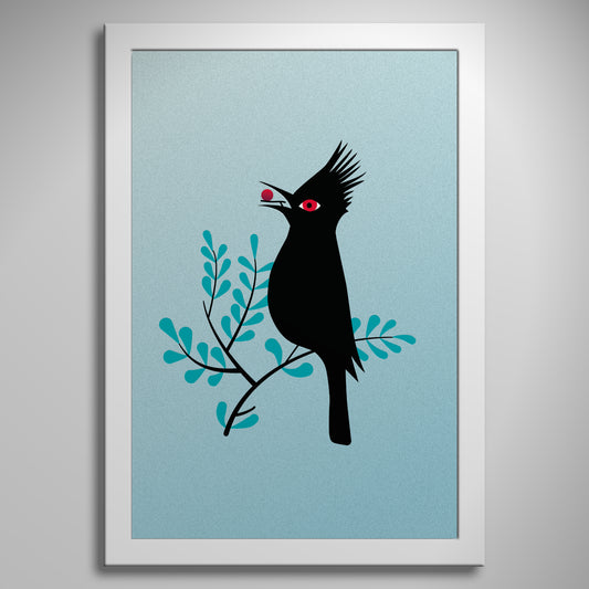 "Phainopepla" Print
