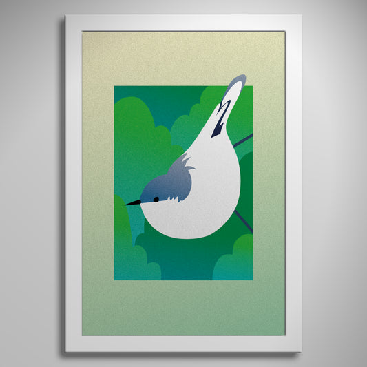"Pygmy Nuthatch" Print
