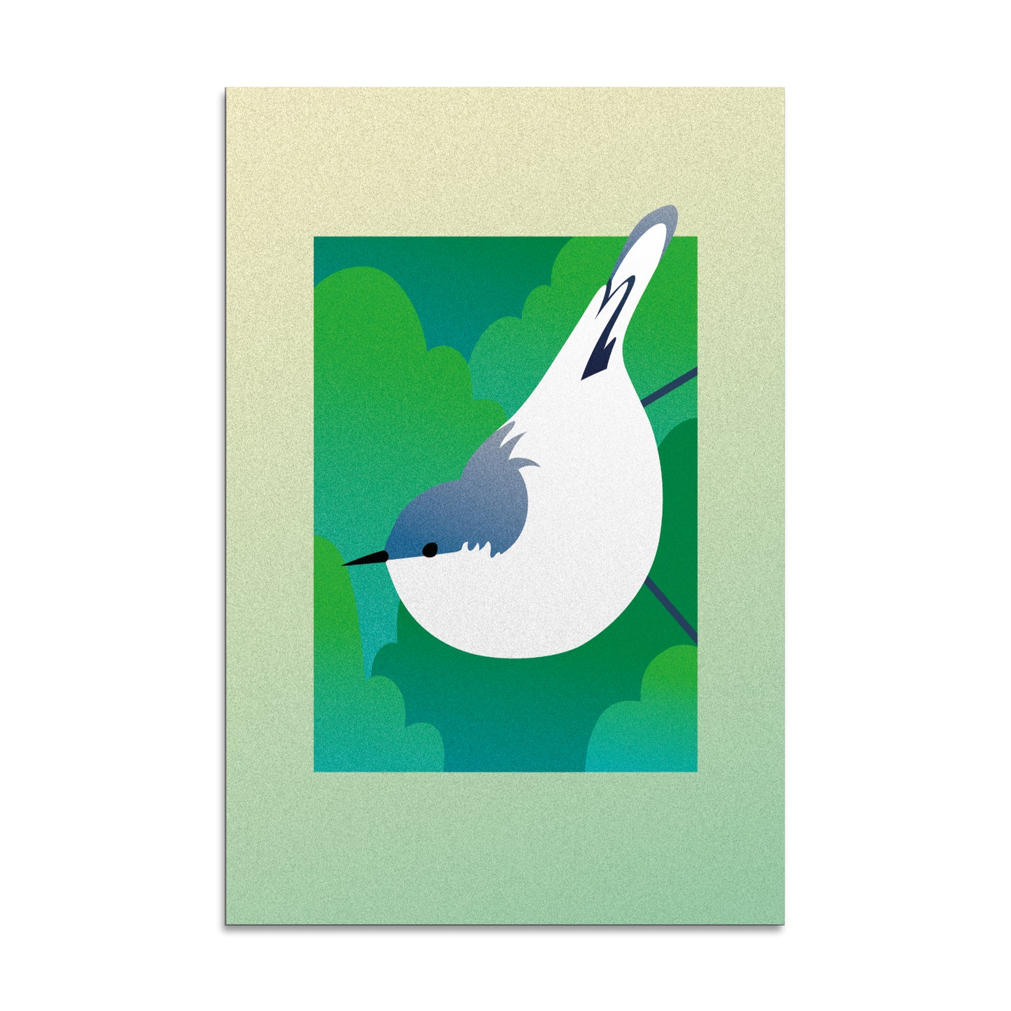 "Pygmy Nuthatch" Print