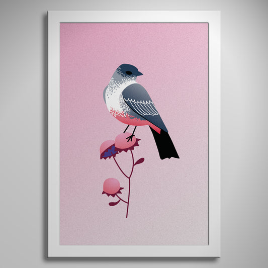 "Say's Phoebe" Print