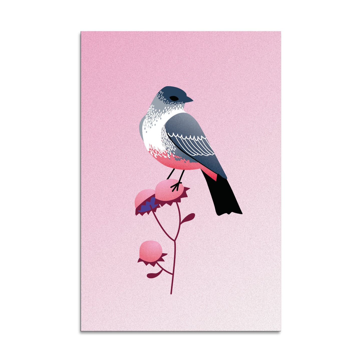 "Say's Phoebe" Print