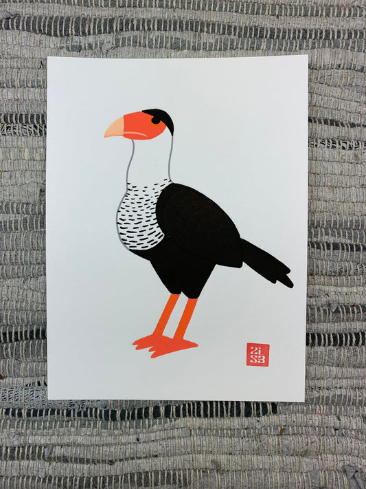 Original artwork of a cool looking falcon from south Texas with it's black and white plumage and bright orange beak and legs also known as the "Mexican Eagle."