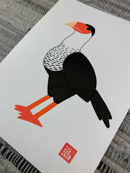 Original artwork of a cool looking falcon from south Texas with it's black and white plumage and bright orange beak and legs also known as the "Mexican Eagle."