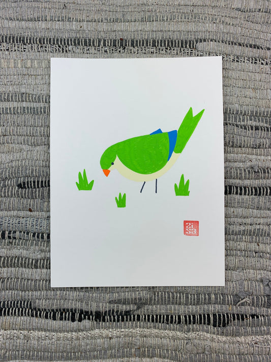 Original artwork of a wild parakeet often seen in Austin, Texas.