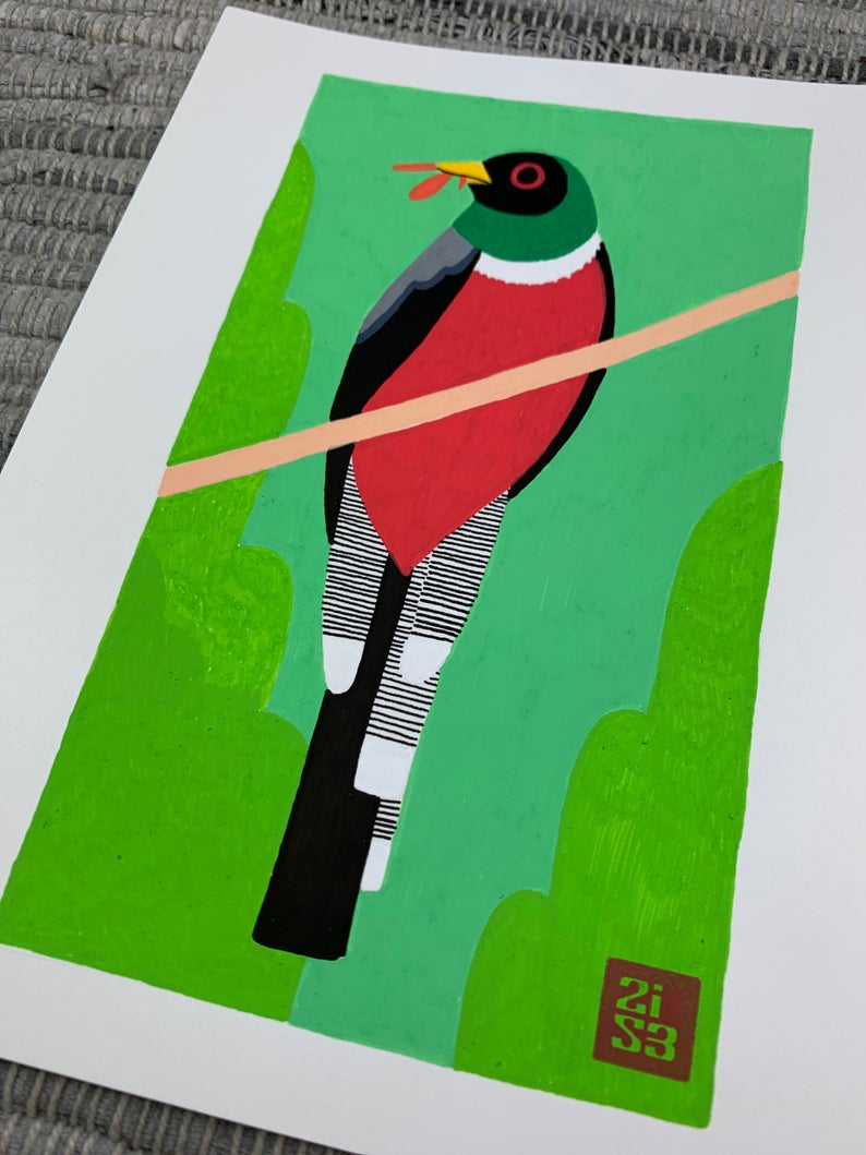 Original artwork of an elegant trogon bird sitting on a branch eating a winged inspect.