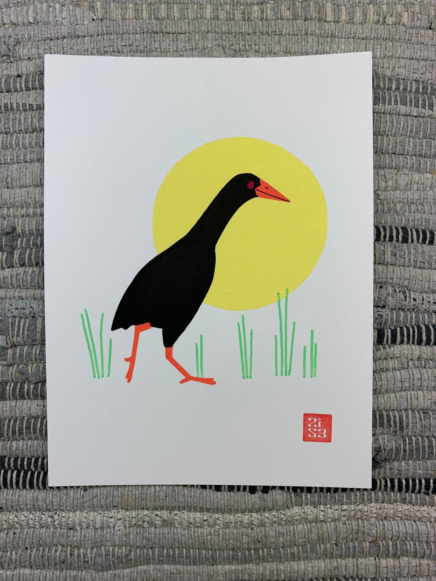 Original artwork of a bird with a funny name that has rarely been sighted in the wild.