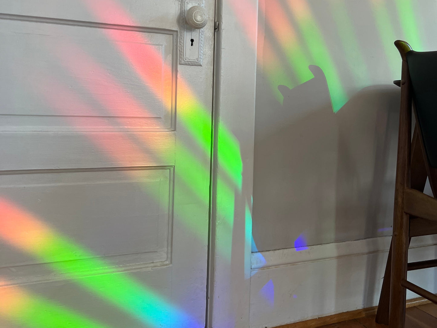 "Color Witch Snake” Suncatcher | Window Decal Sticker