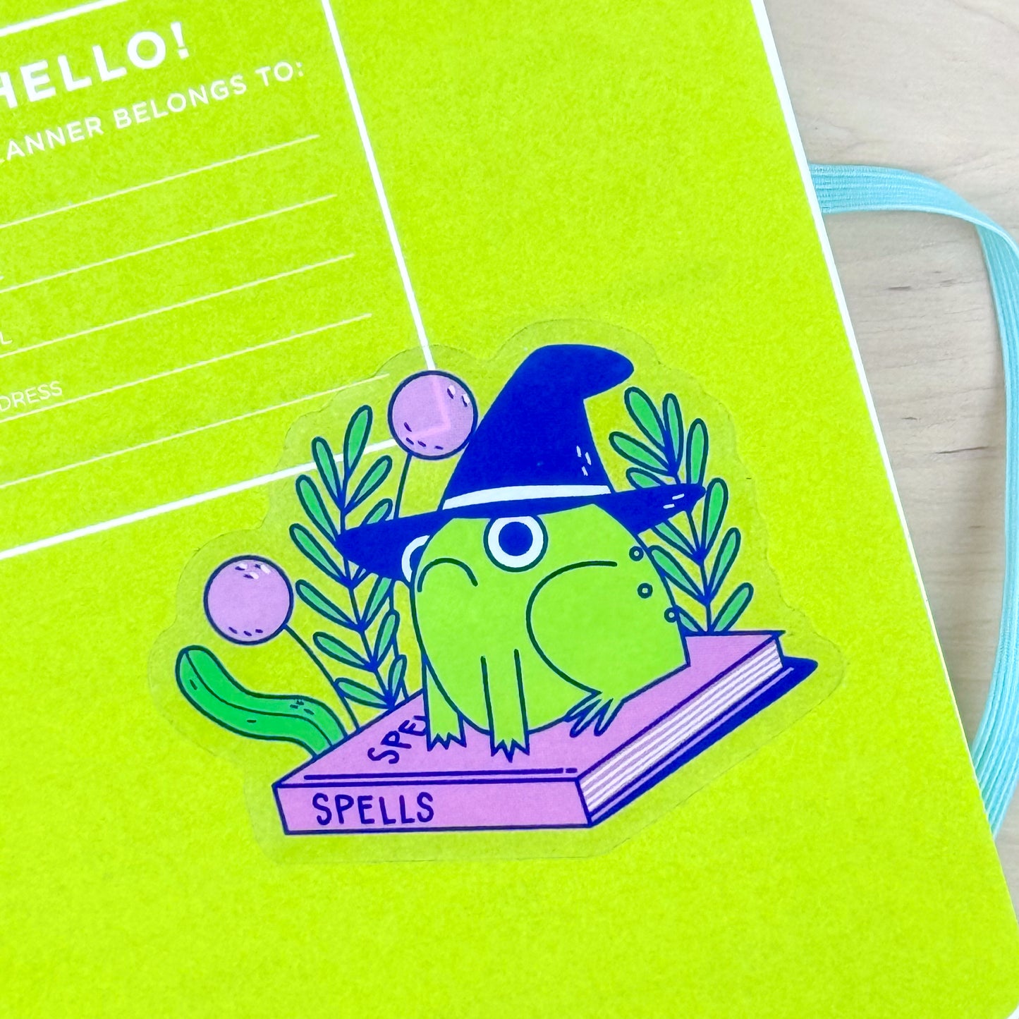 Frog Witch Clear Sticker