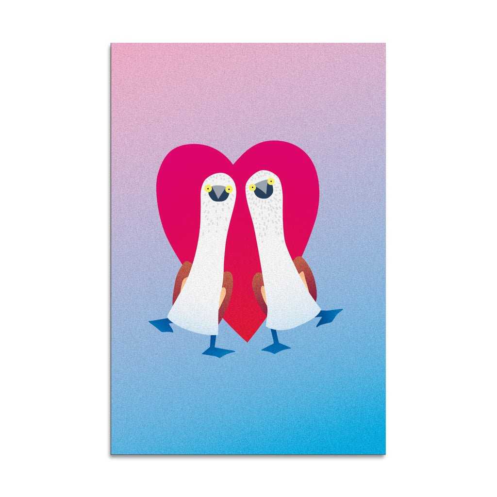 "Pair of Blue-footed Boobies" Print