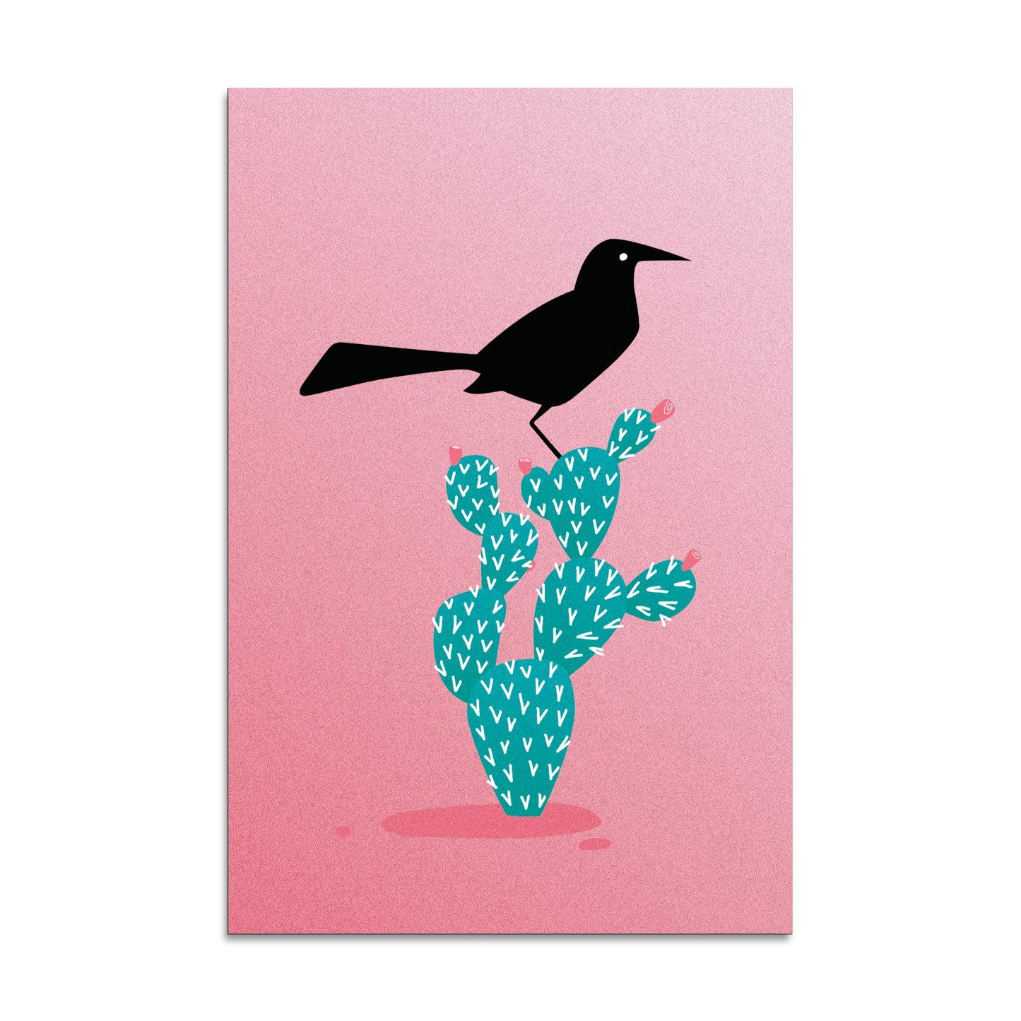"Boat-tailed Grackle" Print | Digital Illustration
