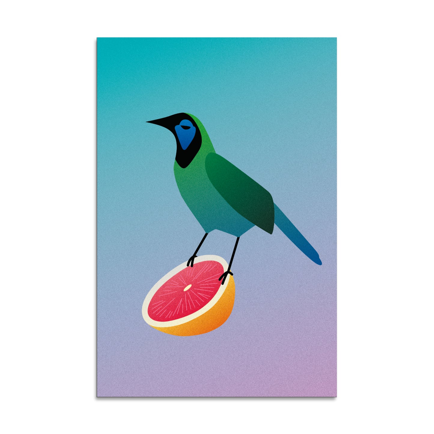 "Green Jay" Print