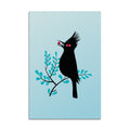 "Phainopepla" Print