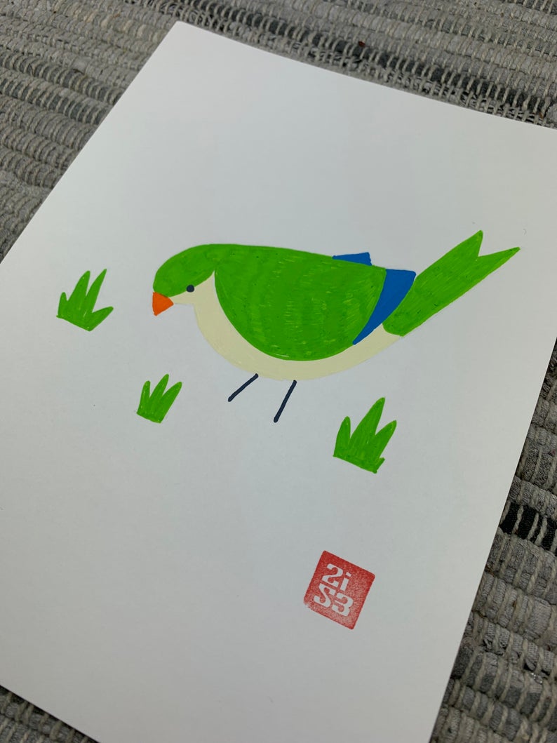Original artwork of a wild parakeet often seen in Austin, Texas.
