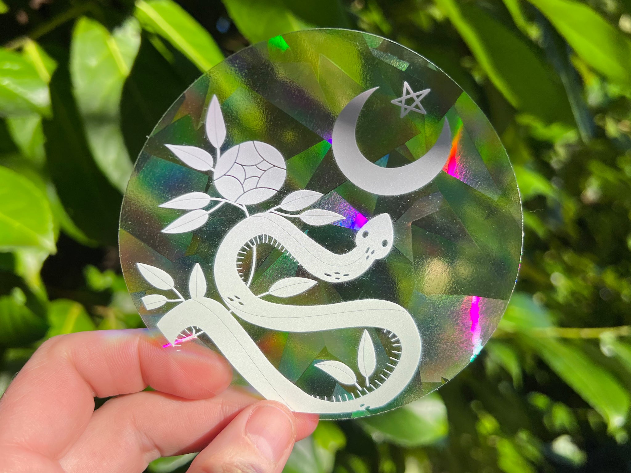 "Color Witch Snake” Suncatcher | Window Decal Sticker