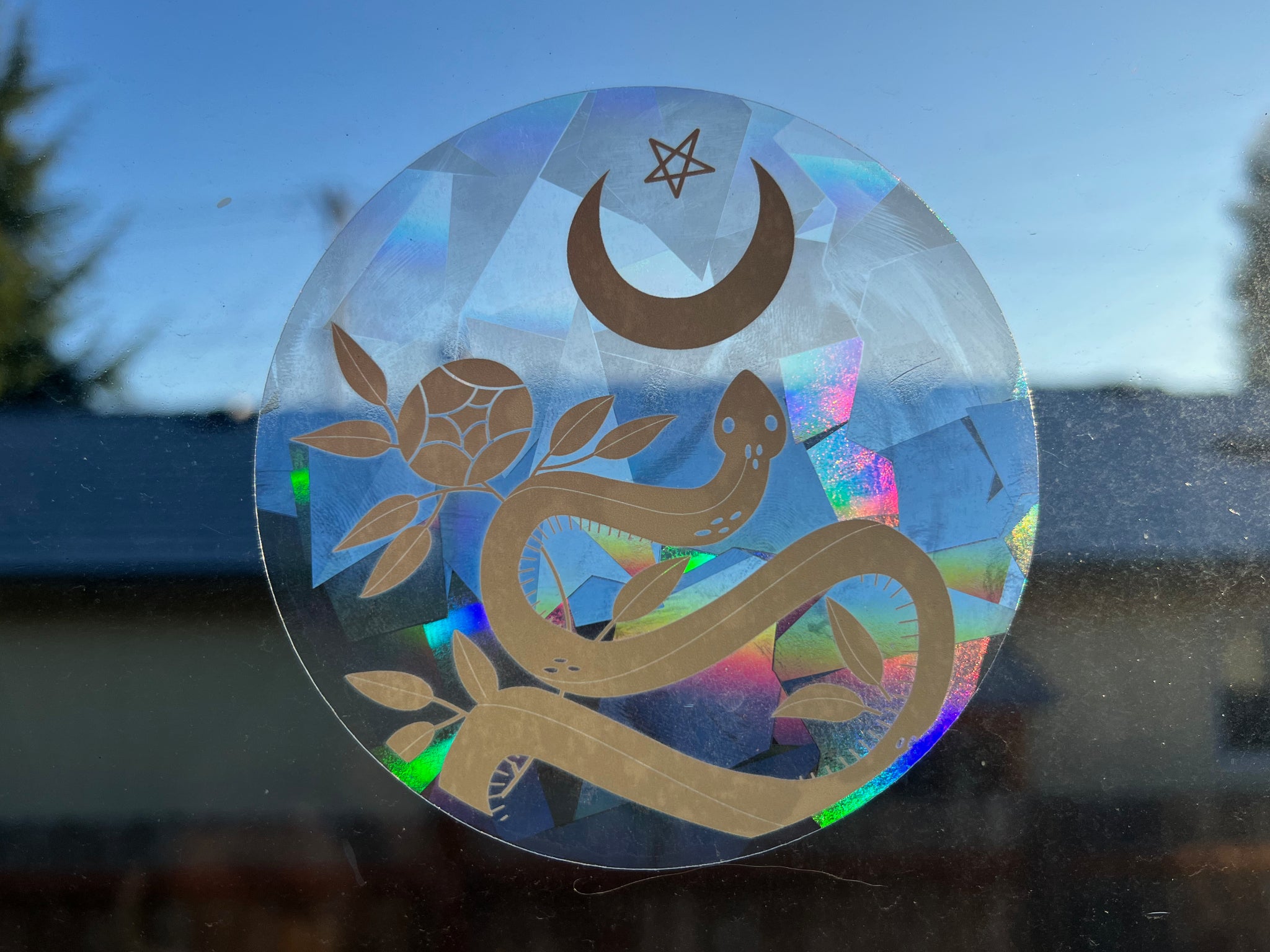 "Color Witch Snake” Suncatcher | Window Decal Sticker