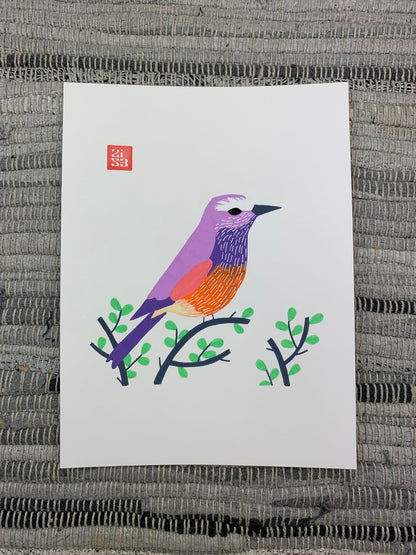 Original artwork of a colorful purple and orange bird from sub-Saharan Africa.