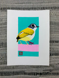 Original artwork of a bird with a funny name standing on a branch beside a red ant.